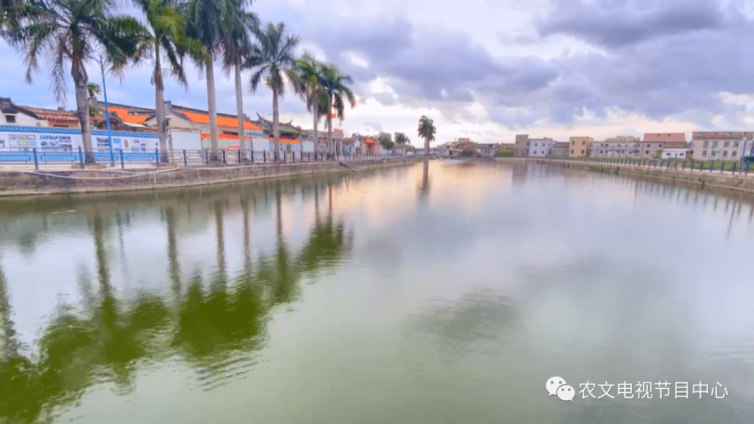 快来围观陇田镇上央视啦