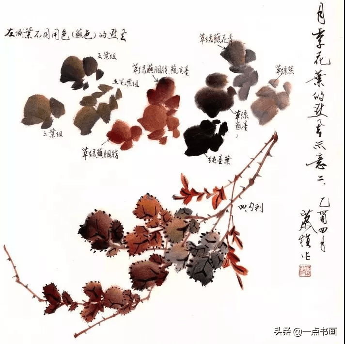 小写意月季花分解画法图片