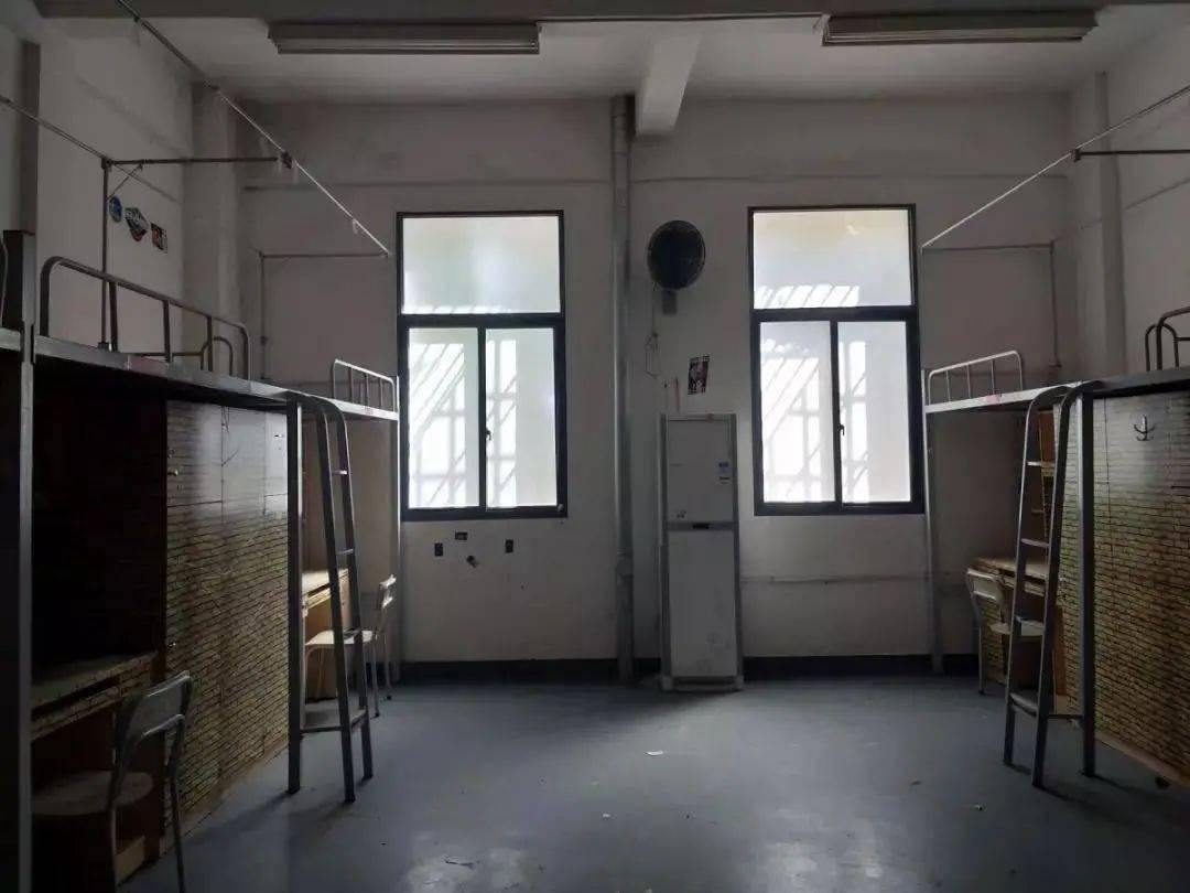 萌新攻略宿舍篇叮咚全新校园生存指南今日上线