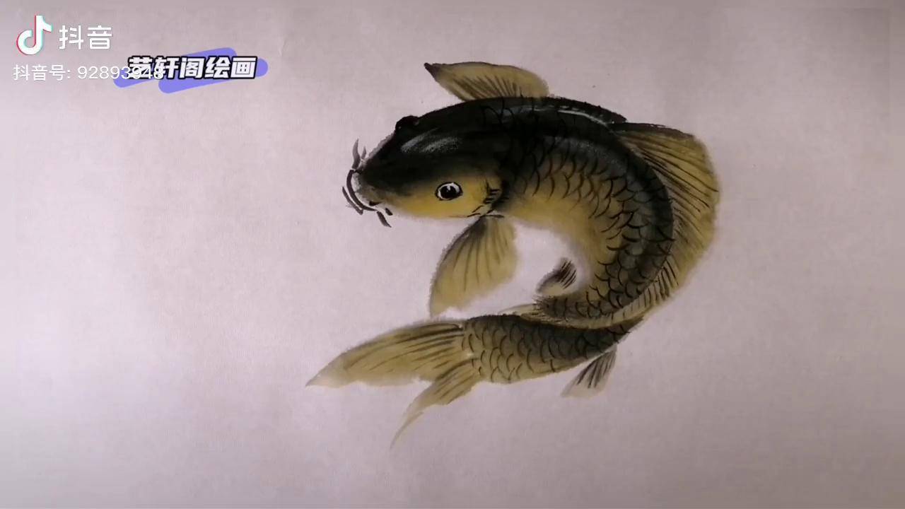 国画鲤鱼画法老师分享初学者画鱼步骤都想拿笔来画一下