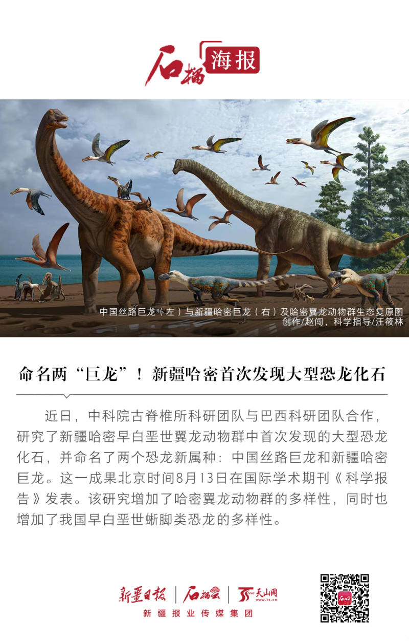 石榴海报丨命名两"巨龙"!新疆哈密首次发现大型恐龙化石