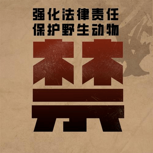 鱼胶排行_即食花胶品牌「极盏」获数千万元Pre−A轮融资,6月GMV已破千万