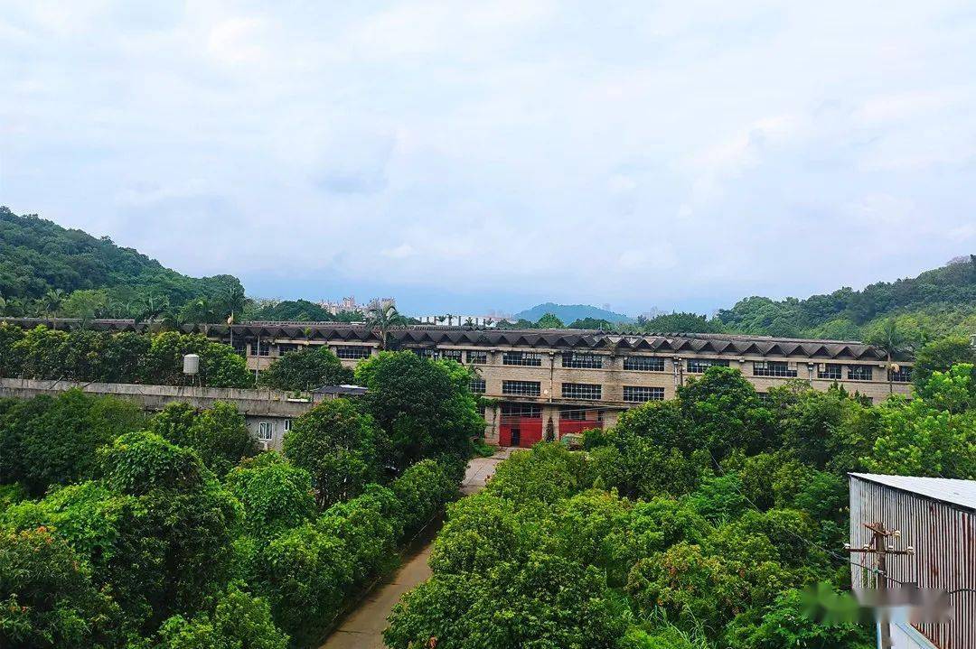 今天县领导在荆溪调研时指出要守住闽侯人的乡愁