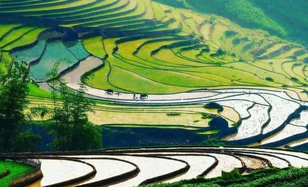 (以梯田为原型的轻策庄)疫情消息的传播不久前,《原神》与肯德基合作