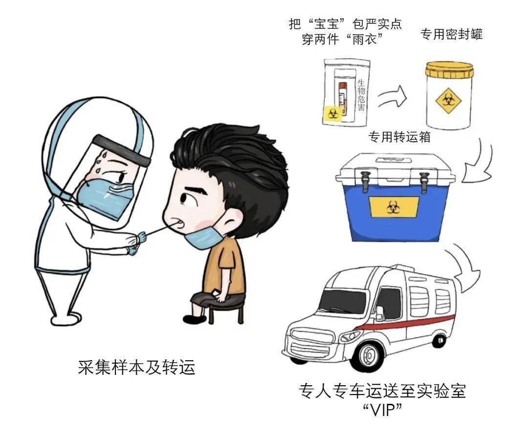 进行|【防疫知识】别再催核酸报告了，看完这篇文章就明白了！