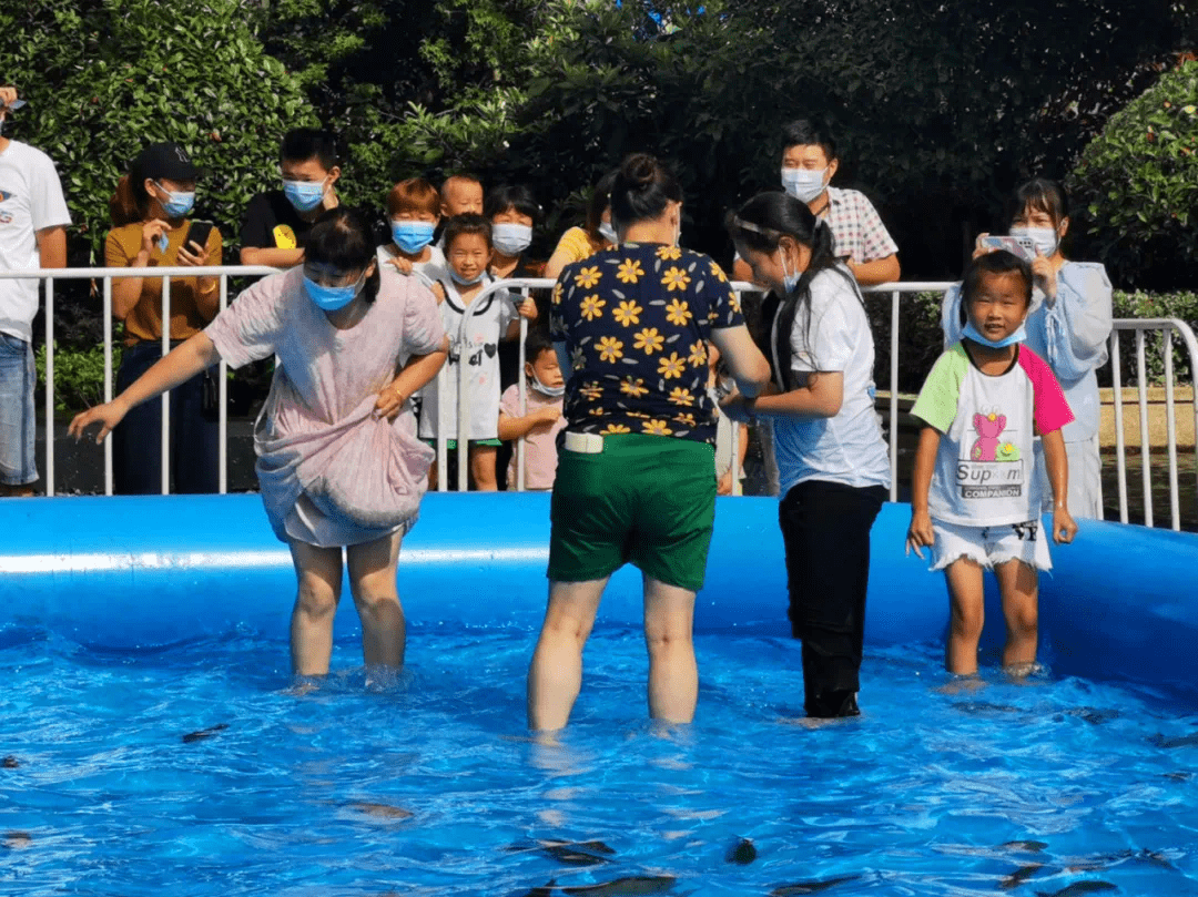 达人"一边是机灵敏捷的鱼群们参赛选手们按照分组分批下水捕鱼现场图