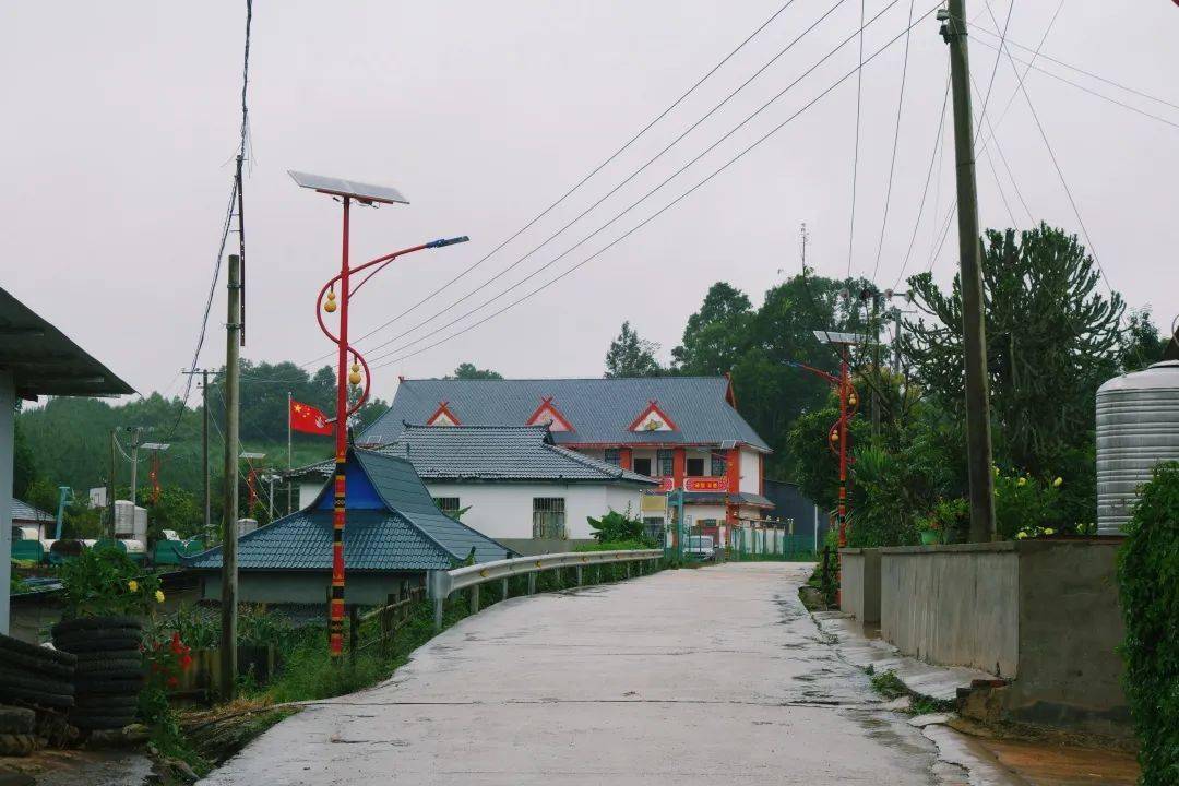 东回镇深化党史学习教育凝聚乡村振兴力量