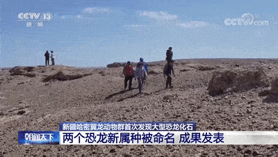 动物群|新疆哈密翼龙动物群首次发现大型恐龙化石！两个恐龙新属种被命名→