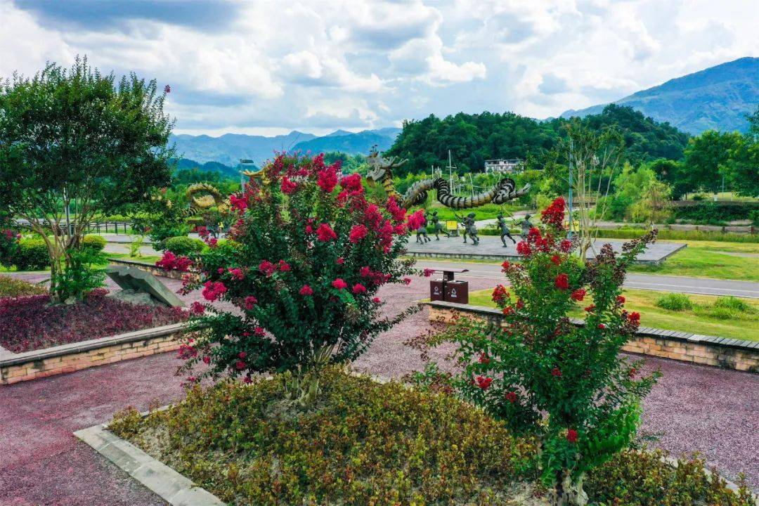 惊艳初秋乐山这些地方的花海上新啦