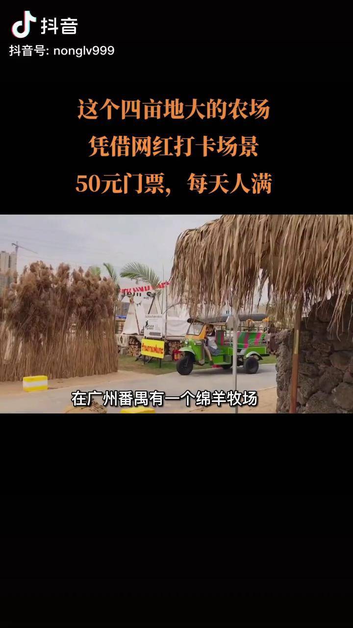 对小农场而言网红打卡场景是极好的引爆点广州绵羊牧场