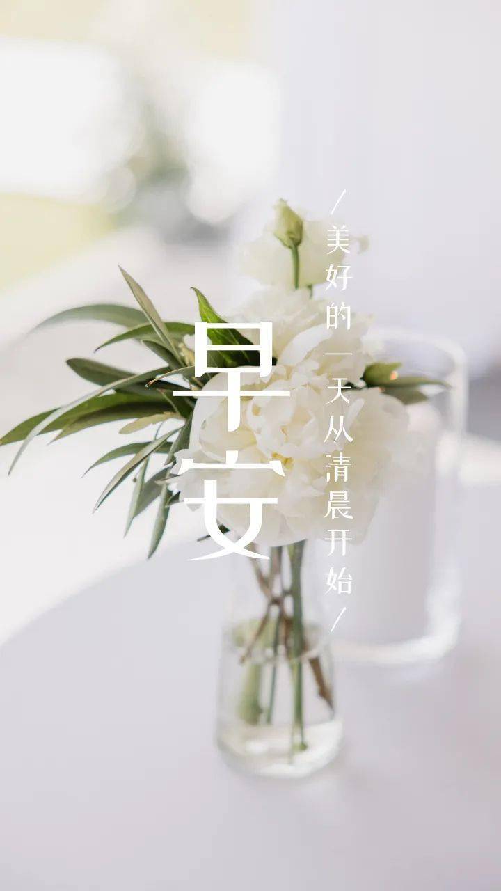 早安晚安正能量语录图片文案