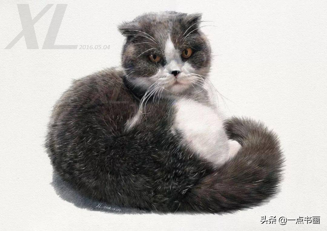 孟祥雷笔下的彩铅超写实少女楚楚动人