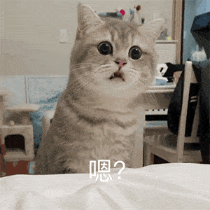 41377d445b9f43c5b143bd1b13d21215.gif