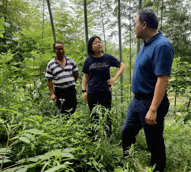 出实招 办实事 见实效:湖南省人民政府发展研究中心