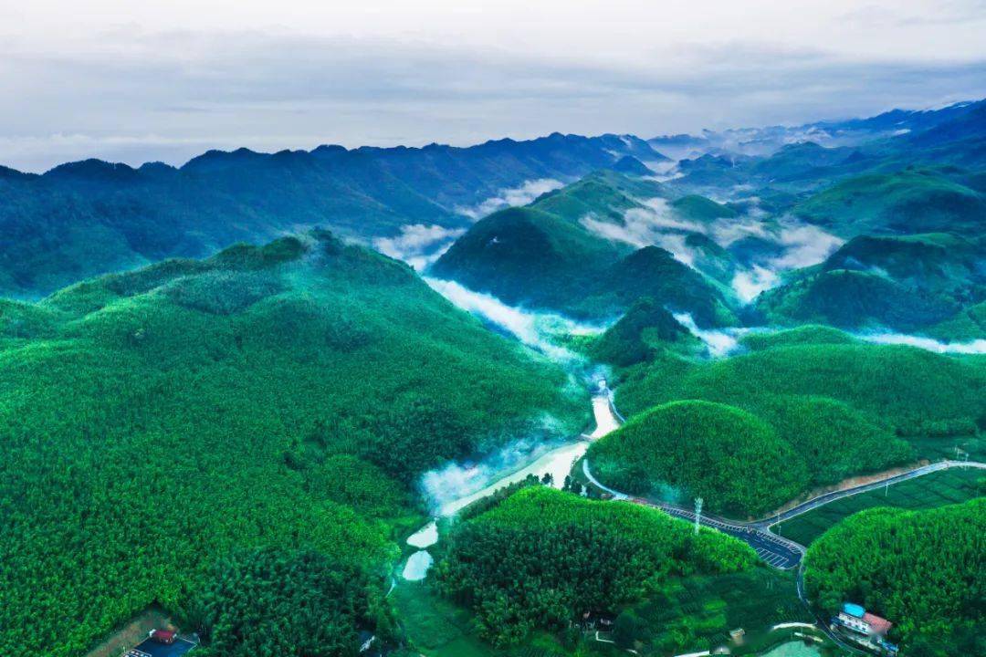 百里竹海旅游度假区 蒋胜斌 摄竹山镇不仅拥有丰富的自然生态资源文化