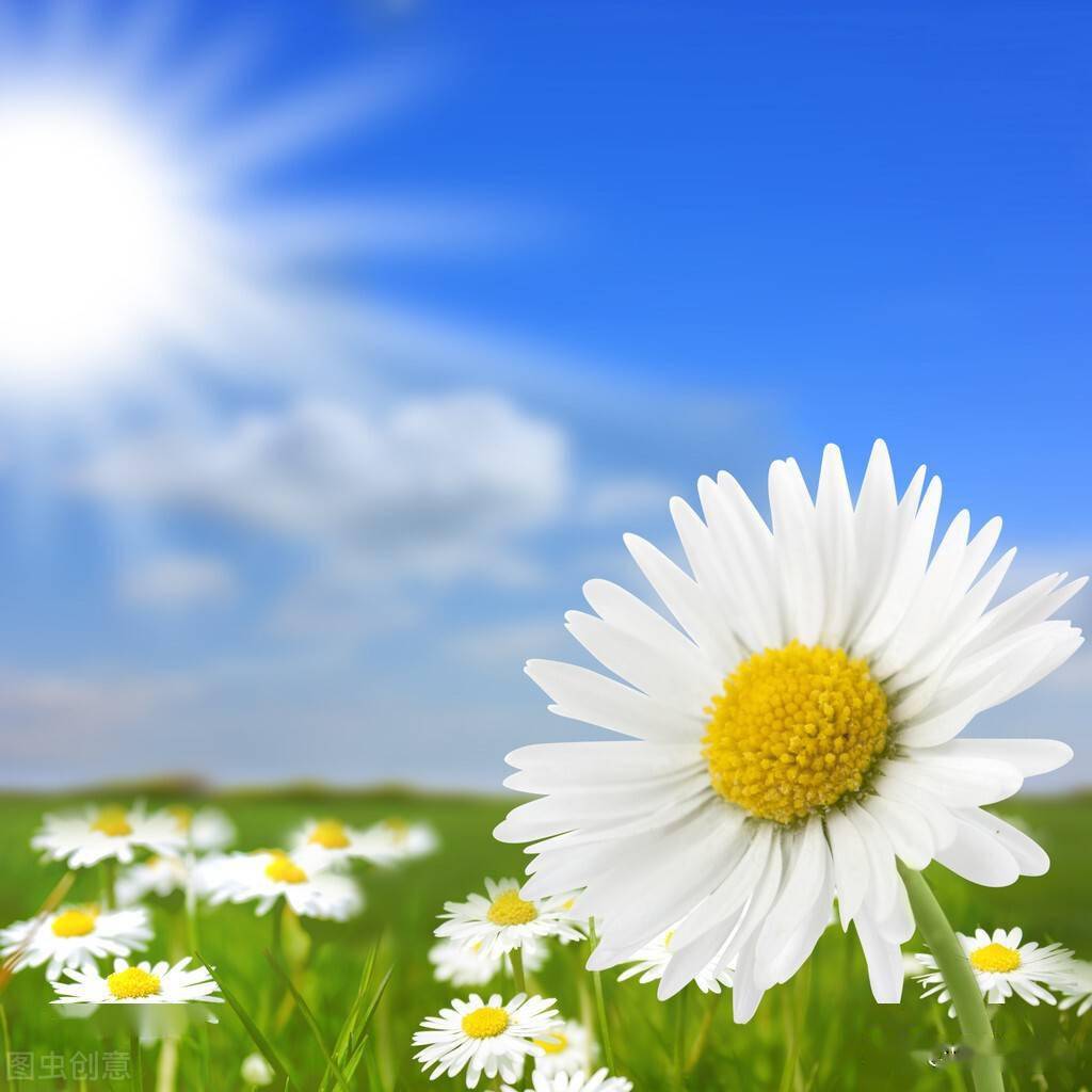 飞山诗对1410看图作命题诗孤不限韵又春阳不及秋阳灿