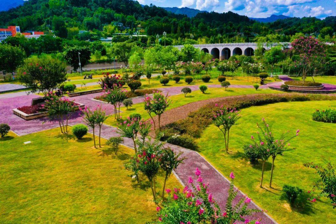 惊艳初秋乐山这些地方的花海上新啦