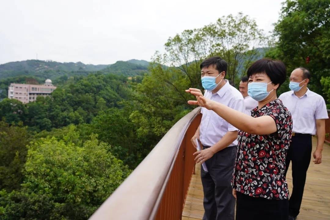 三明市领导调研市区城建工作