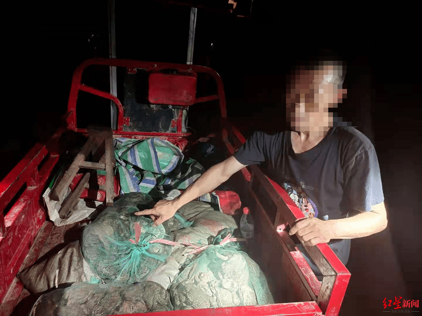 成语玩命猜蟾什么一只手_四川一男子抓260只癞蛤蟆被捕,判处有期徒刑6个月,罚