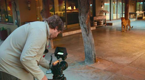 The|把人类关起来,应该是动物们每年的生日愿望吧