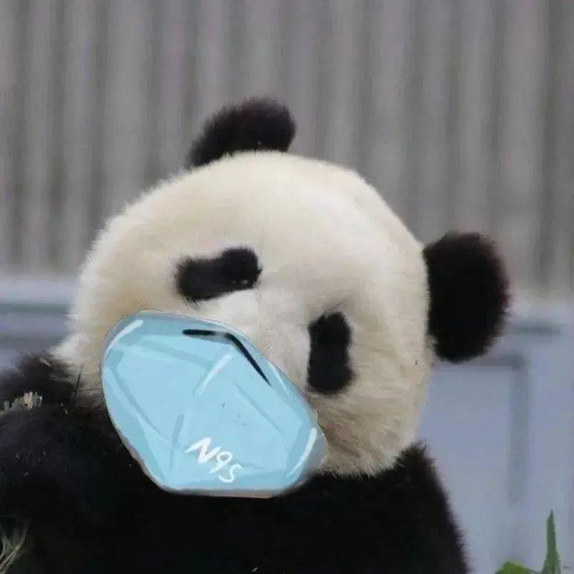 国家最新指引这些场所都要戴口罩