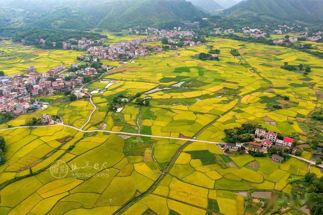 东安县鹿马桥镇金江村田园秋色