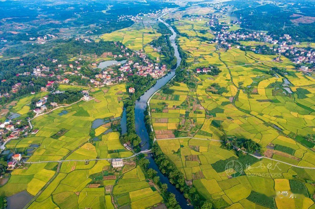 东安县鹿马桥镇金江村田园秋色