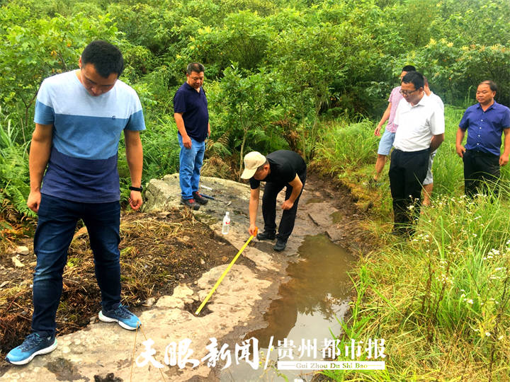 修文神秘“猫脚印” 把专家都难住了