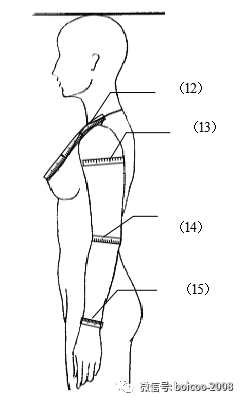 (16) 臂长:肩端点至手腕的长度