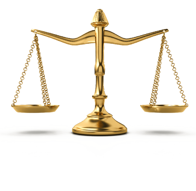 我为群众办实事抚顺市东洲区人民法院云上庭审解民忧