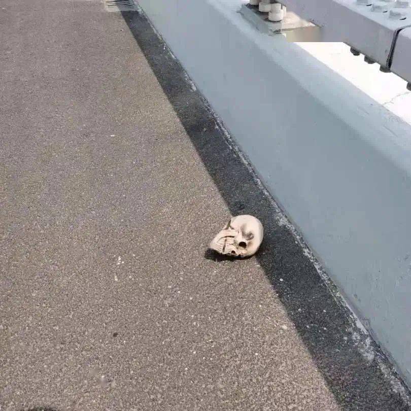 吓人高速公路惊现骷髅头高速行车警惕隐形地雷