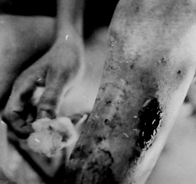 日本不认731部队恶行,日本老兵:他们更想把自己当做战争受害者_细菌