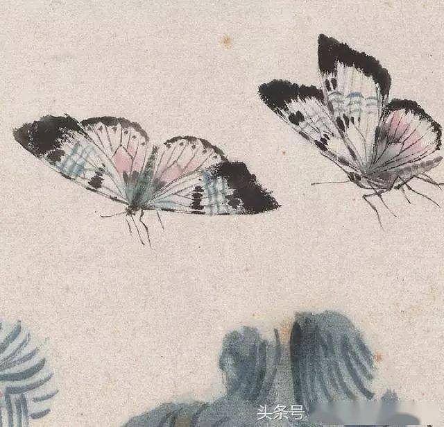齐白石老人笔下的蝴蝶,绝非凭空想象!