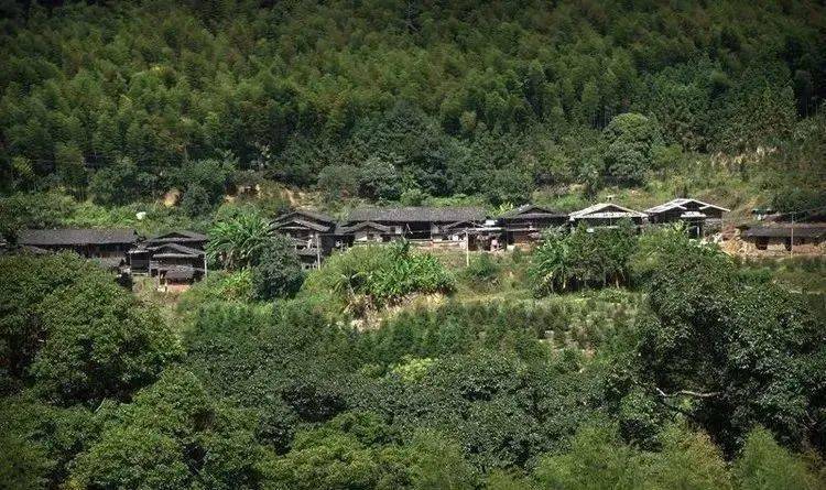 发现两名女子和庆元男子失联的地点在五大堡乡最偏远的山村甘竹山村