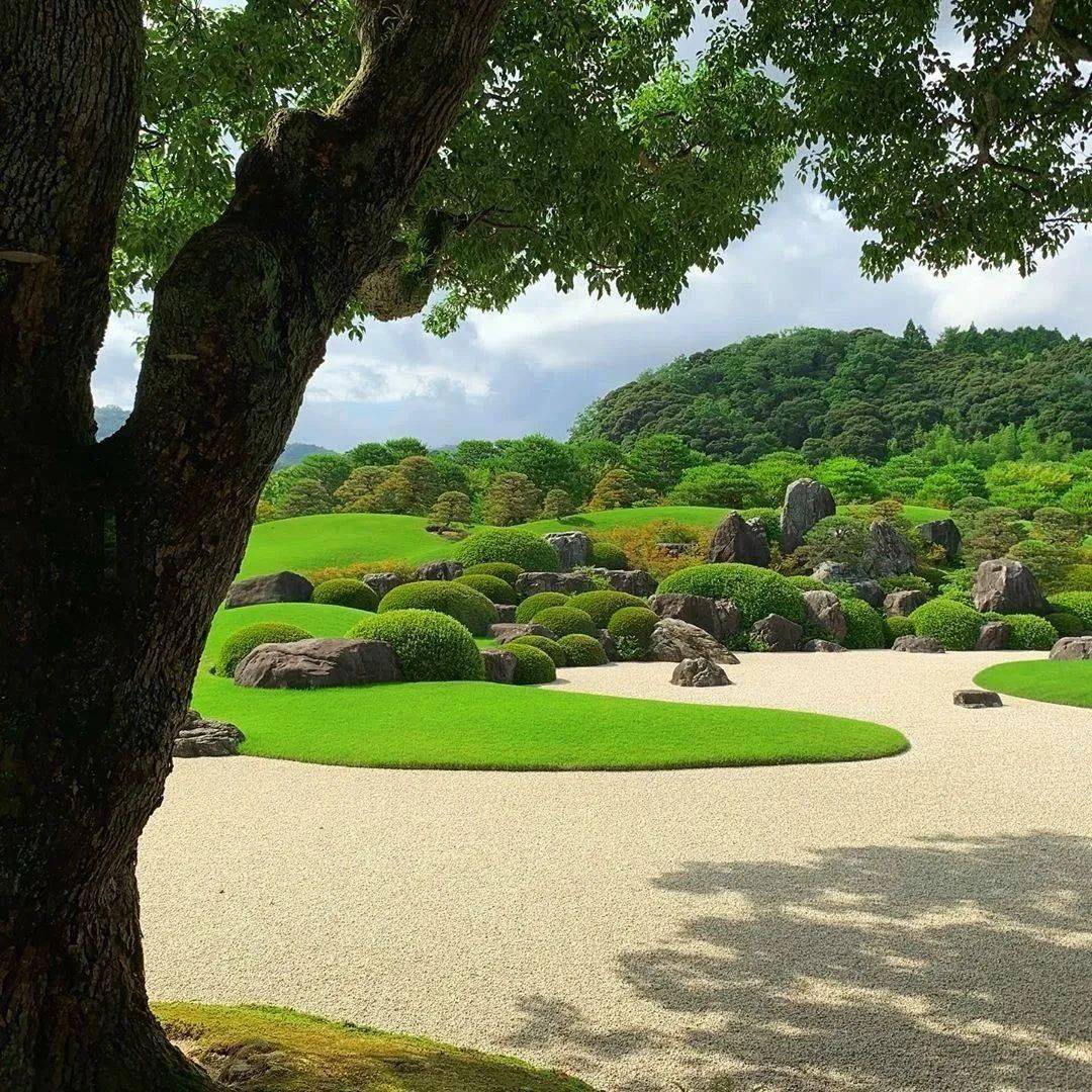 日本第一庭院 · 足立美术馆_庭园