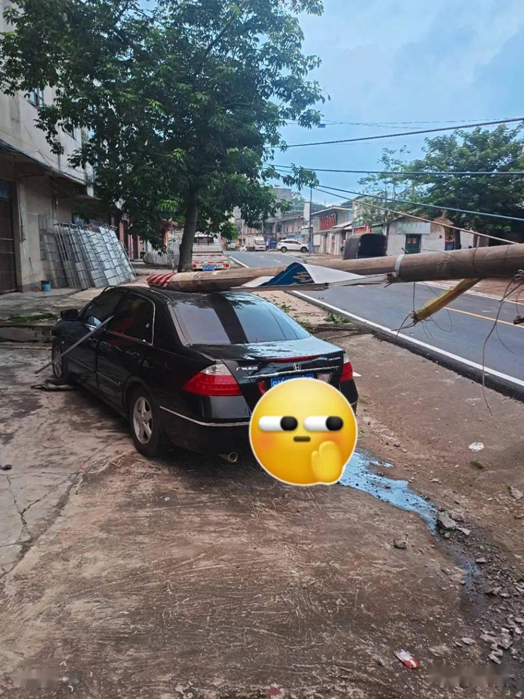 电白罗坑一辆黑色小车铲断电线杆,车头都变形了!