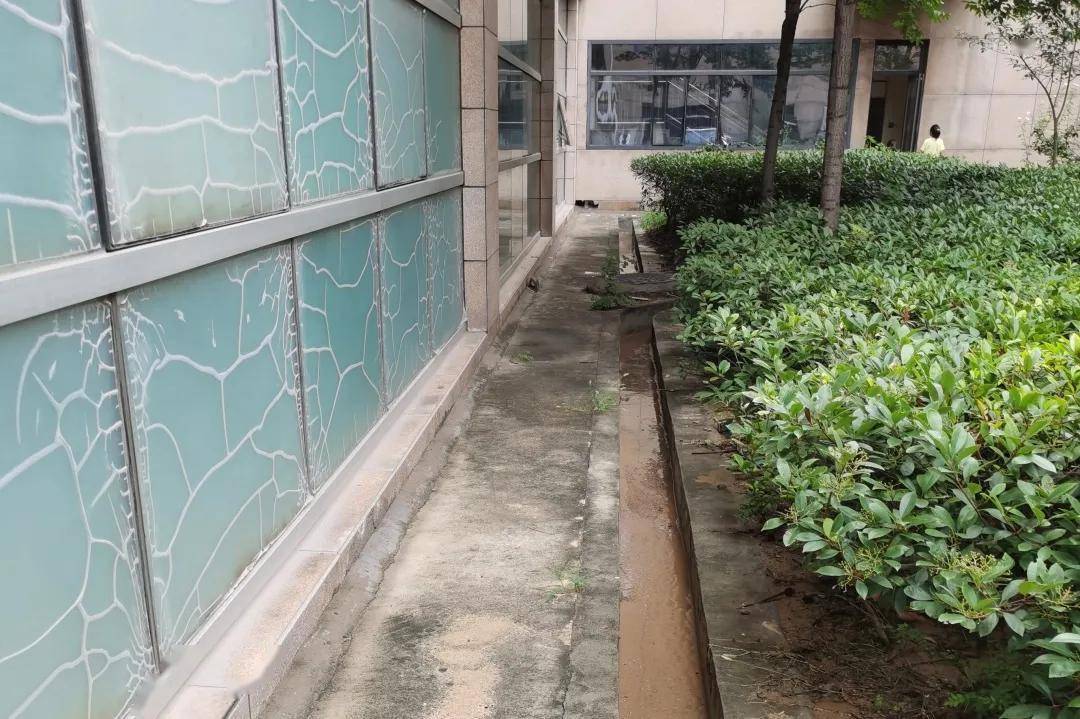 散水坡 来自搜狐网
