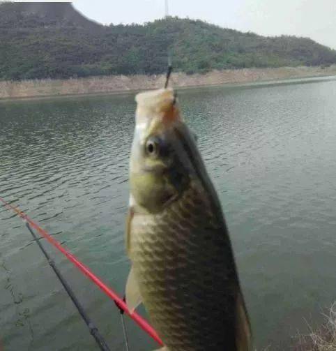 cf49cfdae141452fa72e1c5a91d15a4b.jpeg