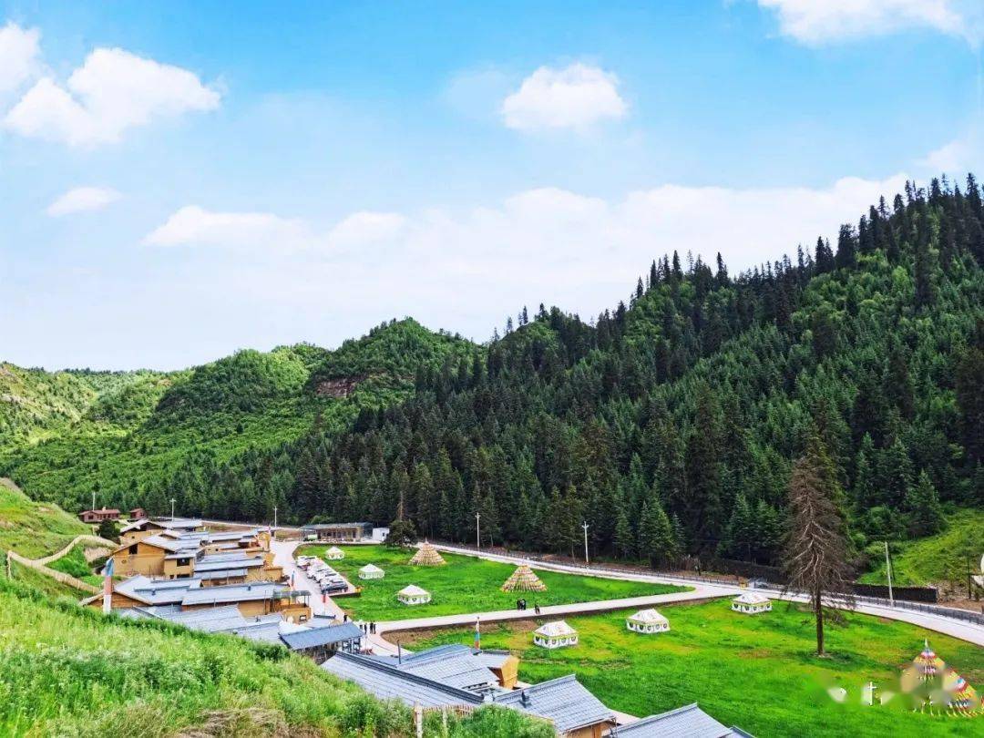 花儿与笑脸:记康多乡拉路河村的振兴之路