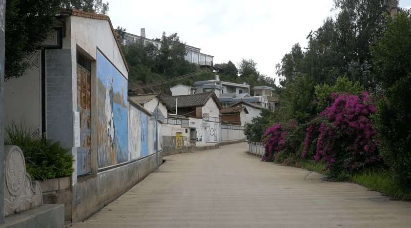 祥云:沙龙镇"花开三朵",富了群众美了村庄