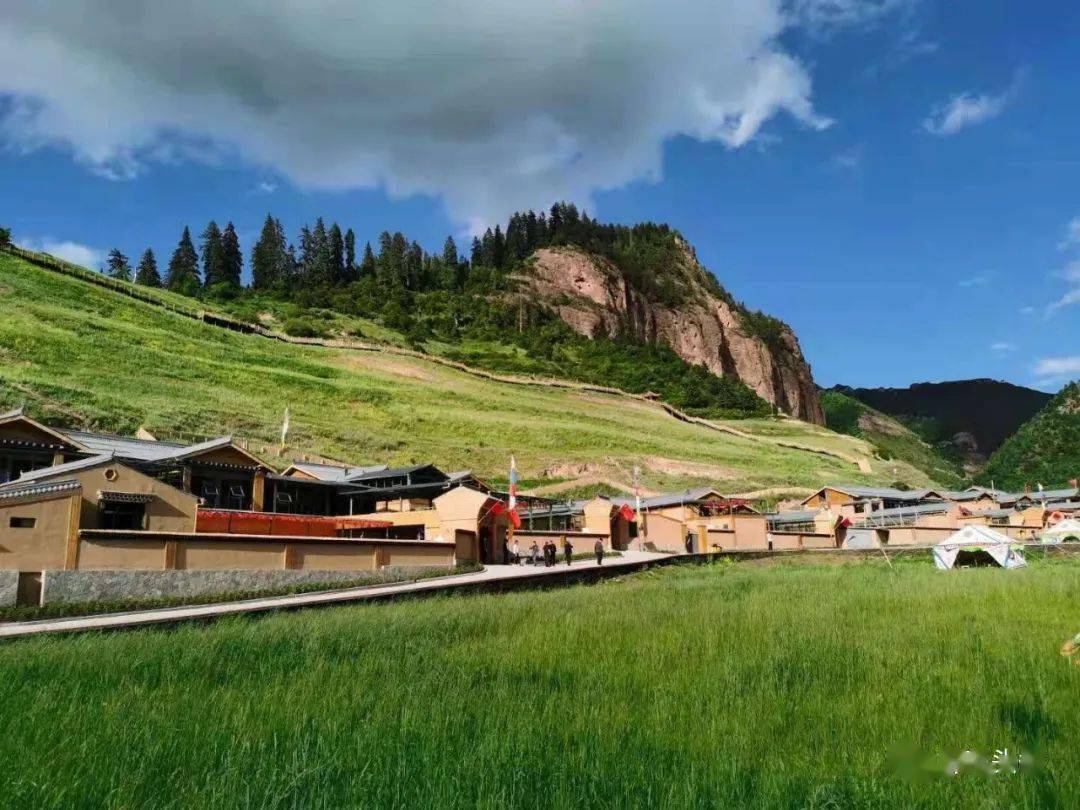 花儿与笑脸:记康多乡拉路河村的振兴之路
