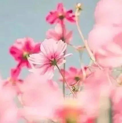 f183fcc2ff5343768f46a4188e2adb53.jpeg