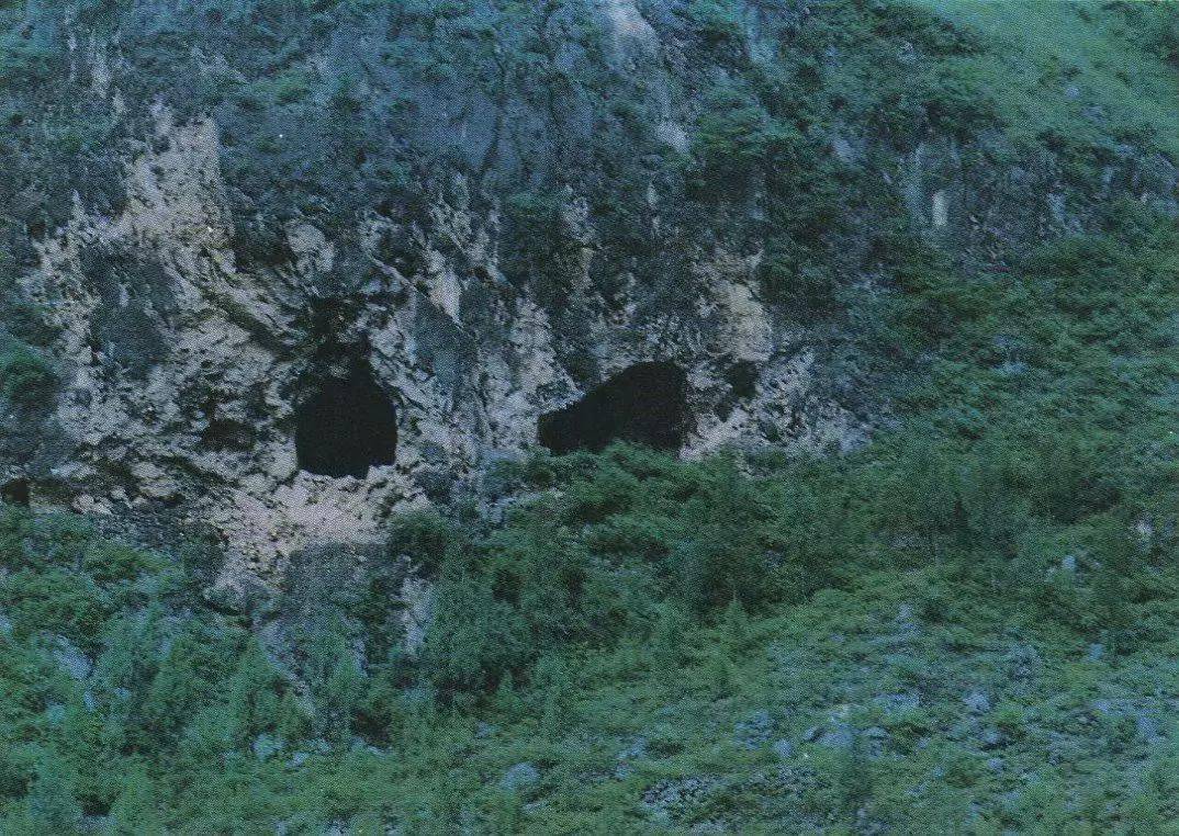 熊猫洞(选自《巫山小三峡》解特利摄)