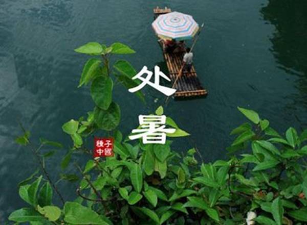 陽氣|今日處暑，暑氣至此而止，夏秋交替燥邪起，學點規矩保健康！