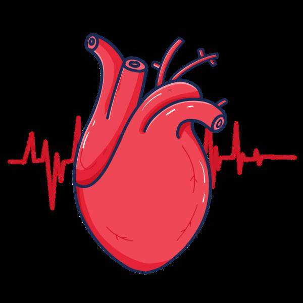 血液|如果你身体有这4种表现 恭喜你，你的心脏很健康！