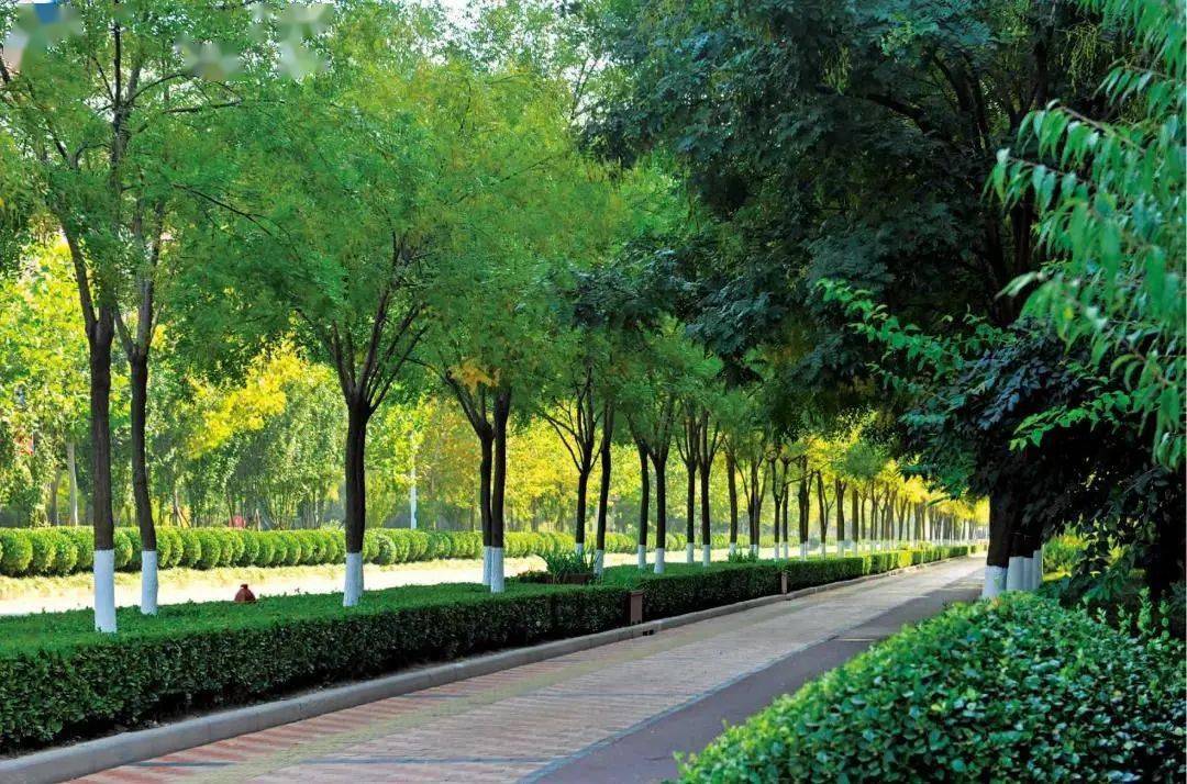 在2017年编制的《中新天津生态城绿道系统专项规划》中,生态城还规划