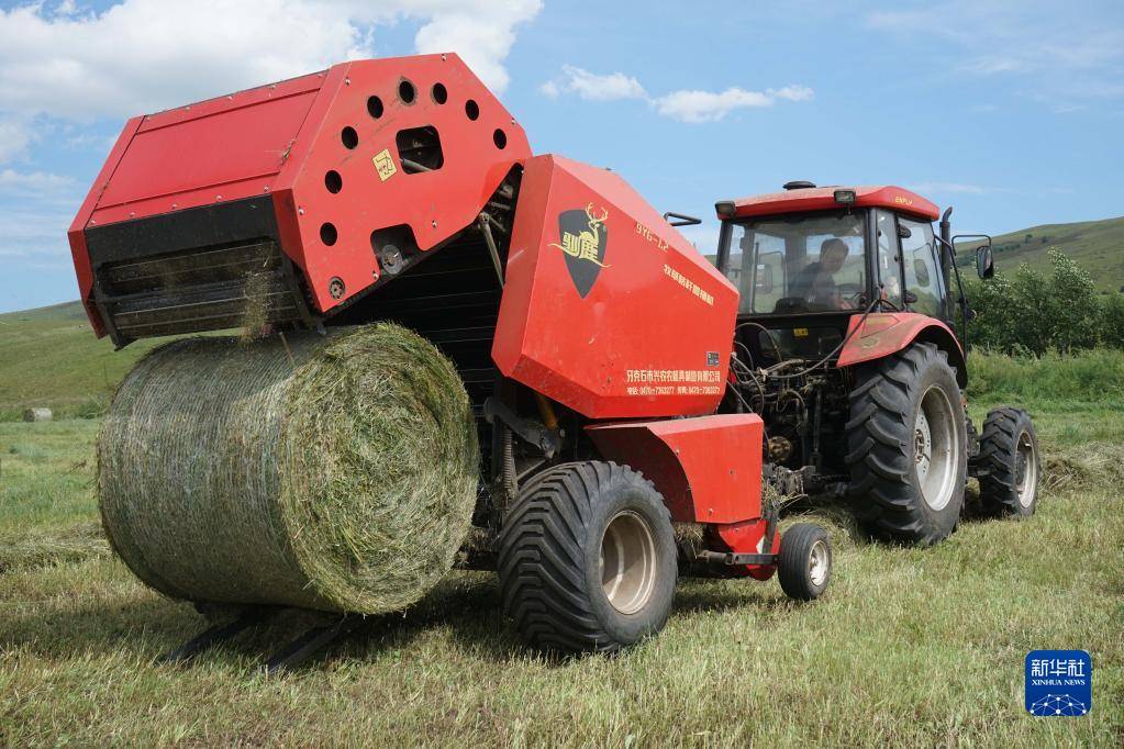 内蒙古兴安盟:草原打草忙