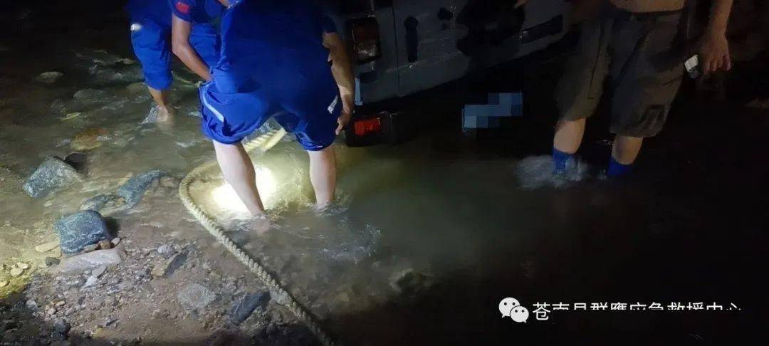 昨晚梦到我被人追杀和在水里游泳，潜意识的隐喻与心理解析