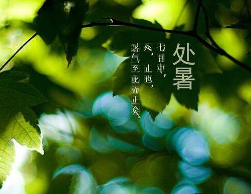 白丸子|今日处暑 | 除了秋老虎，你还应该注意什么？