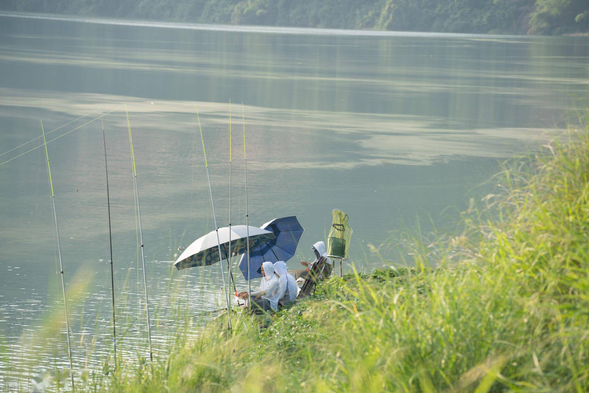 如果周末有空,不妨来这个贺江画廊看看,可以垂钓,可以玩耍.